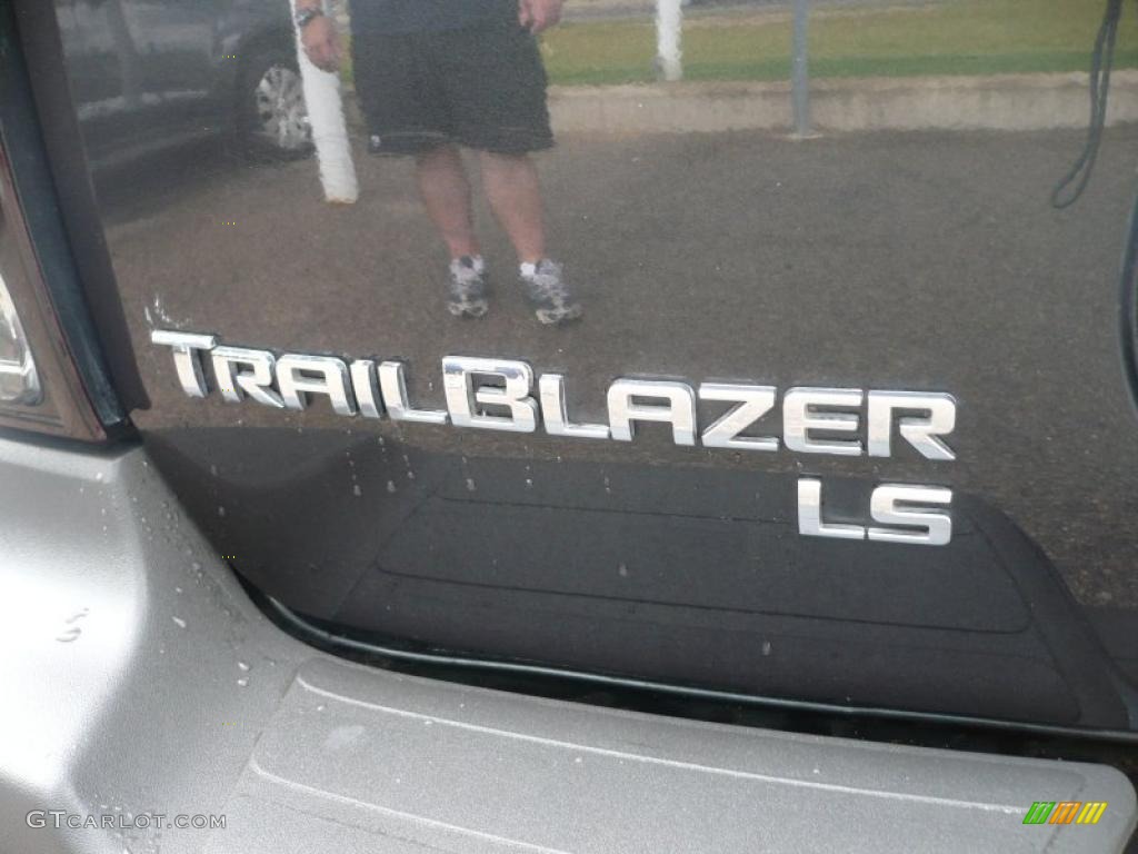 2006 TrailBlazer EXT LS 4x4 - Dark Gray Metallic / Light Gray photo #12