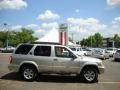 Chrome Silver Metallic - Pathfinder SE 4x4 Photo No. 11