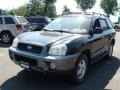 Black Obsidian - Santa Fe GLS 4WD Photo No. 1