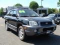 Black Obsidian - Santa Fe GLS 4WD Photo No. 3