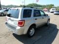 Silver Metallic - Escape XLT V6 Photo No. 4