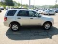 Silver Metallic - Escape XLT V6 Photo No. 5