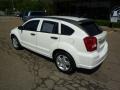 Stone White - Caliber SXT Photo No. 2