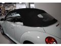 Aquarius Blue - New Beetle 2.5 Convertible Photo No. 20