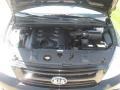 2009 Midnight Black Kia Sedona LX  photo #18