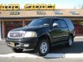 Black Clearcoat 2001 Ford Expedition XLT 4x4