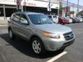 2007 Platinum Sage Hyundai Santa Fe Limited 4WD  photo #6