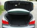 Titanium Grey Metallic - 5 Series 525xi Sedan Photo No. 13