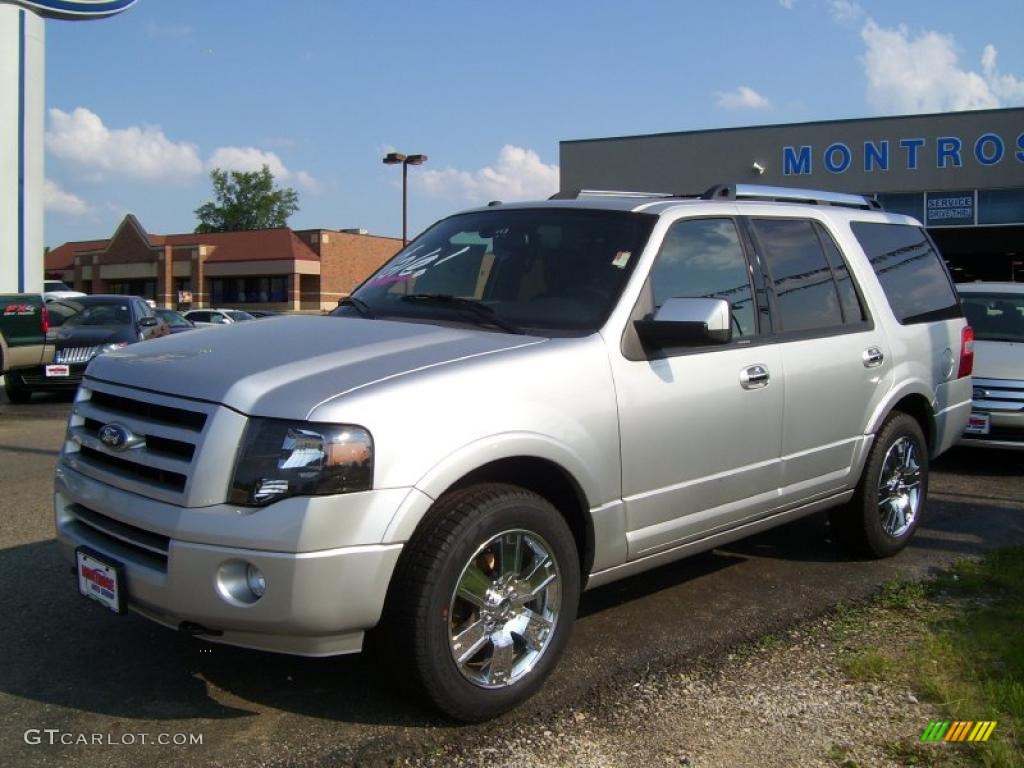 2010 Expedition Limited 4x4 - Ingot Silver Metallic / Charcoal Black photo #1