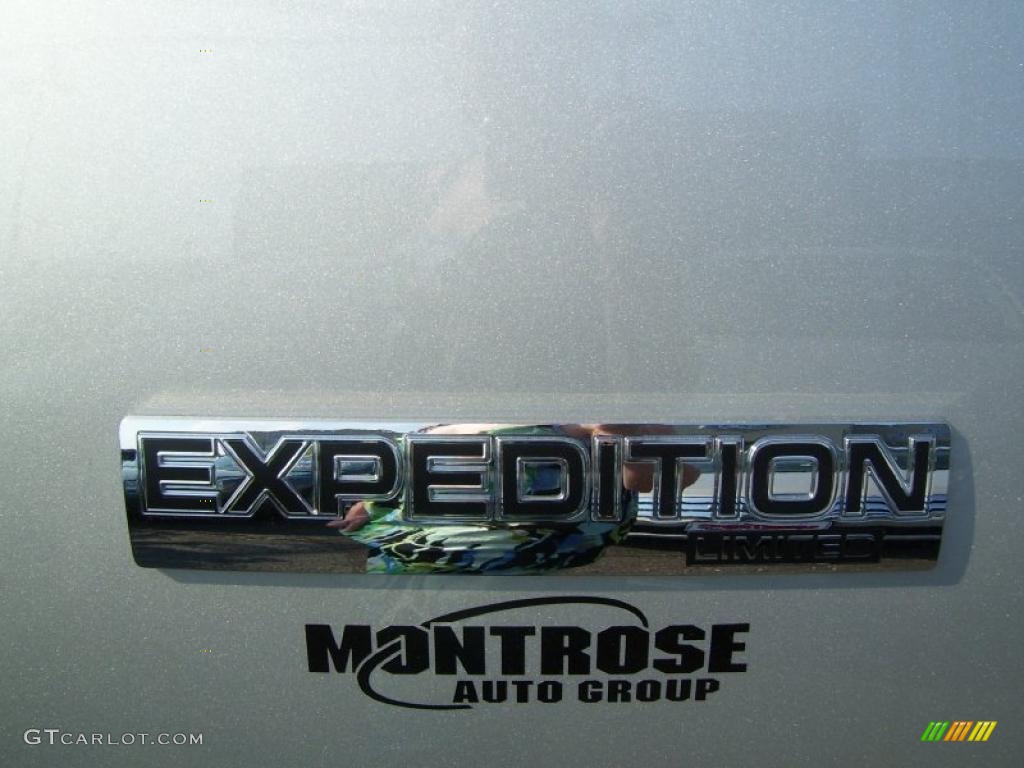 2010 Expedition Limited 4x4 - Ingot Silver Metallic / Charcoal Black photo #9