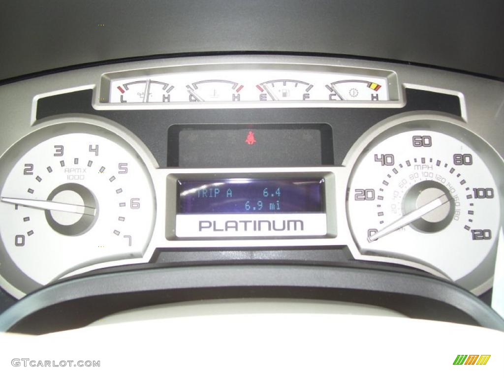 2010 F150 Platinum SuperCrew 4x4 - Sterling Grey Metallic / Medium Stone Leather/Sienna Brown photo #18