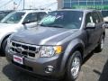 2010 Sterling Grey Metallic Ford Escape XLT V6 4WD  photo #1