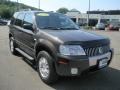 Charcoal Beige Metallic - Mariner Luxury 4WD Photo No. 3