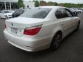 2008 Alpine White BMW 5 Series 528xi Sedan  photo #6