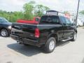 2002 Black Ford F150 XLT SuperCab 4x4  photo #10