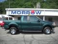 2008 Forest Green Metallic Ford F150 XLT SuperCab 4x4  photo #1