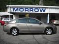 Pebble Beach Metallic - Altima 2.5 SL Photo No. 1