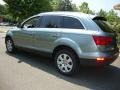 2007 Sycamore Green Metallic Audi Q7 3.6 Premium quattro  photo #2