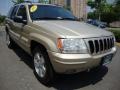 2001 Champagne Pearl Jeep Grand Cherokee Limited 4x4  photo #9