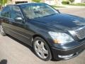 Flint Mica - LS 430 Sedan Photo No. 14