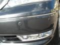 Flint Mica - LS 430 Sedan Photo No. 61