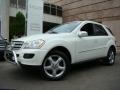 2008 Arctic White Mercedes-Benz ML 350 4Matic  photo #1