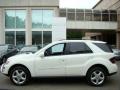 Arctic White - ML 350 4Matic Photo No. 3
