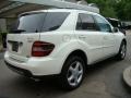 Arctic White - ML 350 4Matic Photo No. 5
