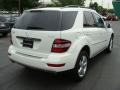 2009 Arctic White Mercedes-Benz ML 350 4Matic  photo #4