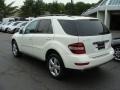 Arctic White - ML 350 4Matic Photo No. 6