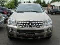 2008 Pewter Metallic Mercedes-Benz ML 550 4Matic  photo #2