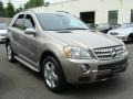 2008 Pewter Metallic Mercedes-Benz ML 550 4Matic  photo #3