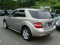 2008 Pewter Metallic Mercedes-Benz ML 550 4Matic  photo #6