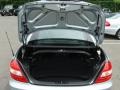 Diamond Silver Metallic - SLK 350 Roadster Photo No. 14