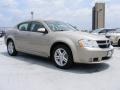 2009 Light Sandstone Metallic Dodge Avenger R/T  photo #3