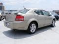 Light Sandstone Metallic - Avenger R/T Photo No. 5