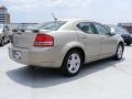 2009 Light Sandstone Metallic Dodge Avenger R/T  photo #5