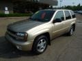 2005 Sandstone Metallic Chevrolet TrailBlazer LT 4x4  photo #8