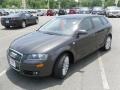 Lava Grey Pearl - A3 2.0T Photo No. 1