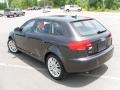 Lava Grey Pearl - A3 2.0T Photo No. 2