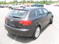 Lava Grey Pearl - A3 2.0T Photo No. 4