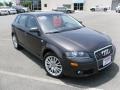 Lava Grey Pearl - A3 2.0T Photo No. 5
