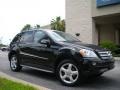 Black - ML 350 4Matic Photo No. 4
