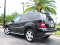 Black - ML 350 4Matic Photo No. 8