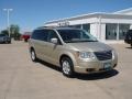 2010 Light Sandstone Metallic Chrysler Town & Country Touring  photo #24