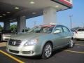 Silver Pine Mica 2009 Toyota Avalon XLS
