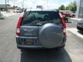 2005 Pewter Pearl Honda CR-V Special Edition 4WD  photo #4