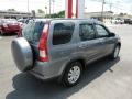 2005 Pewter Pearl Honda CR-V Special Edition 4WD  photo #5