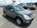 2005 Pewter Pearl Honda CR-V Special Edition 4WD  photo #6