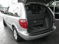 2004 Bright Silver Metallic Dodge Caravan SXT  photo #10